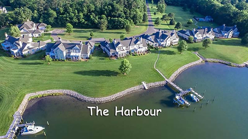 The Harbour
